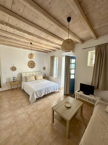Nesa Paros