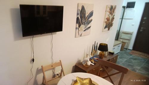 TV a/nebo společenská místnost v ubytování Apartman ORHIDEJA