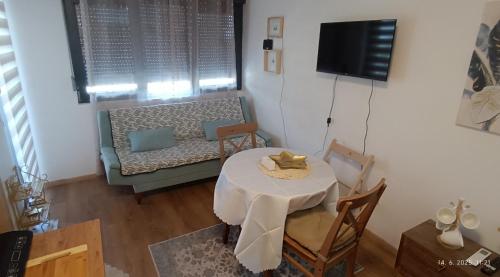 TV a/nebo společenská místnost v ubytování Apartman ORHIDEJA