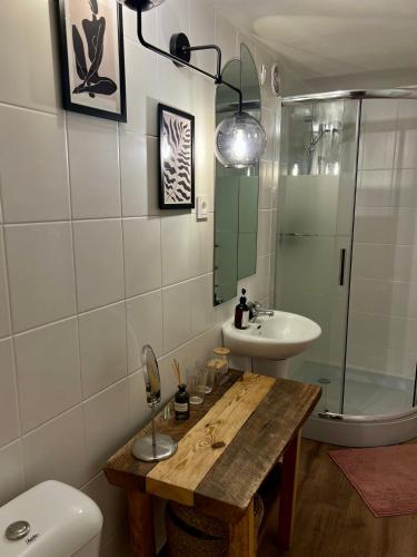 a bathroom with a sink and a toilet and a mirror at Vila Poilsinė in Balninkai