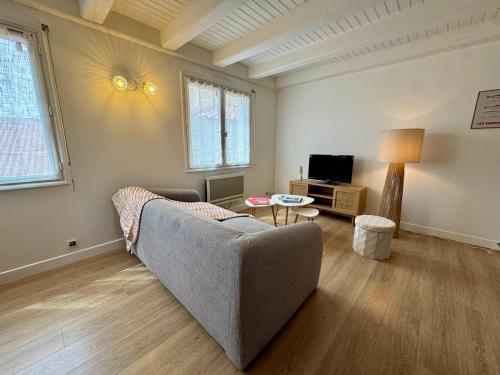 Évasion Marine à 2 pas du Port