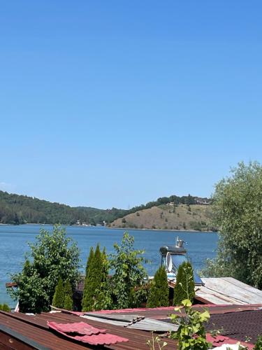 a view of the water from the roof of a house at Casa Herban 2 in Moara Ungurului