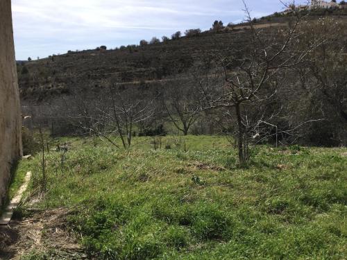 un prato erboso con un albero in lontananza di Casa del lince a Inazares