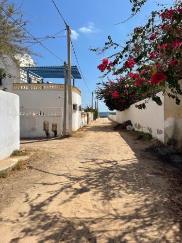 Fotografie z fotogalerie ubytování Cocon au bord de l eau v destinaci Zarzis