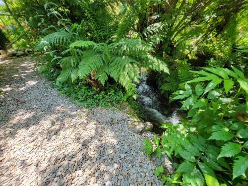 a stream of water in a garden with plants at Pensiunea ANA Vistisoara in Vistisoara