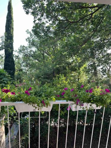 a white fence with a bunch of flowers on it at Iskra house - Perazica Do in Perazića Do