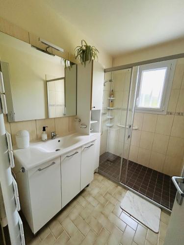 a bathroom with a sink and a shower at GÎTE Au 21 Loveroom in Beaumont-la-Ronce