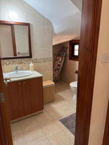 a bathroom with a sink and a toilet at Stunning Traditional Stone Villa - Kallepia in Kallepia