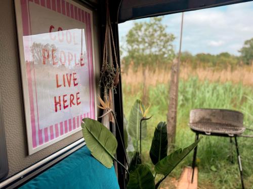 Fotografie z fotogalerie ubytování COOL PEOPLE LIVE HERE! Przyczepa w Jastarni v destinaci Jastarnia