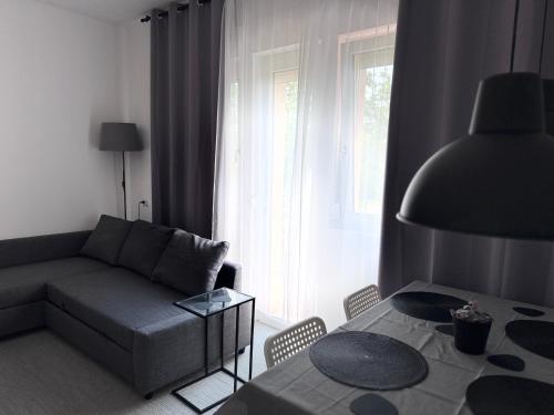 a living room with a couch and a table at Pineta Apartment with Exclusive Pool in Campo di Pietra