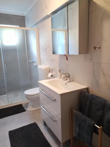 a bathroom with a sink and a toilet and a shower at Apartments Gvacic in Rab