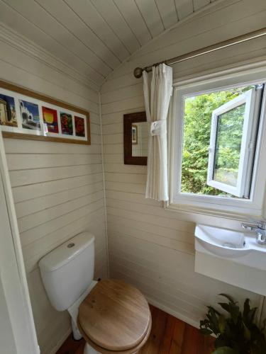 トンブリッジにあるBell Nook- Shepherd's hut with a spacious wood-fired hot tubのトイレ、洗面台、窓のあるバスルーム
