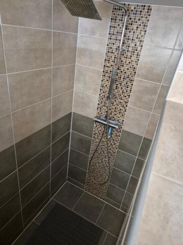 a shower stall with a glass door and a shower constructor at Logement indépendant au rdc d'une maison in Venouse