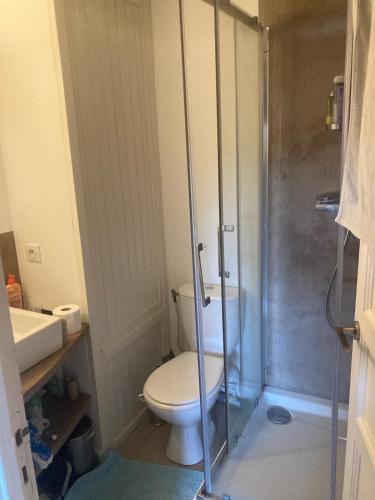 une salle de bain avec toilettes et douche dans l'établissement Stone house, terraced garden and pool, à Saint-Beauzile