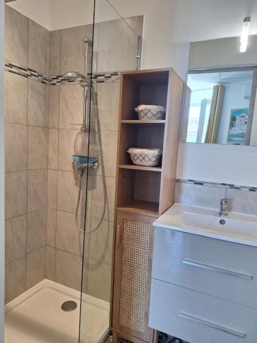 une salle de bain avec douche et lavabo dans l'établissement Charmant studio avec piscine, à Ruoms