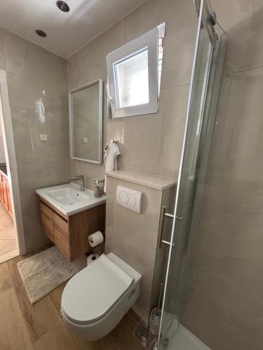 a bathroom with a toilet and a sink and a shower at Apartment Ivic in Bol
