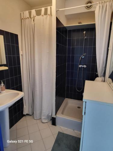 une salle de bain avec une douche, des toilettes et un lavabo dans l'établissement Studio 1 bedroom, very nice view with parking space, à Mauguio