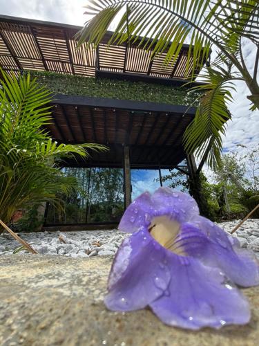 a purple object sitting on the sand in front of a building at Cabaña Montecielo San Rafael in San Rafael