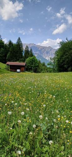 a field of flowers with a building in the background at Alpenliebe Montafon in Silbertal