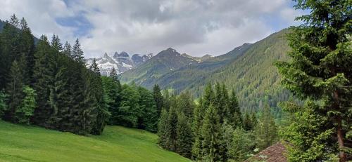 a green field with trees and mountains in the background at Alpenliebe Montafon in Silbertal