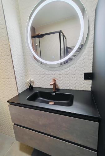 une salle de bain avec un lavabo et un miroir dans l'établissement Paris Queen Suite with air-condition and parking, à Bourg-la-Reine