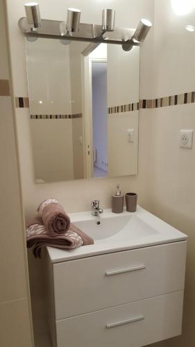 une salle de bain blanche avec un lavabo et un miroir dans l'établissement 28 m2 Hypercenter studio Garden view Elevator, à Nice