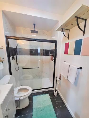 a bathroom with a shower and a toilet at 2 BR Quaint Private Bungalow NR Downtown & Beaches in Pensacola