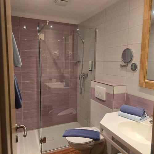 a bathroom with a shower with a toilet and a sink at Hotel am Kurpark in Bad Lauterberg