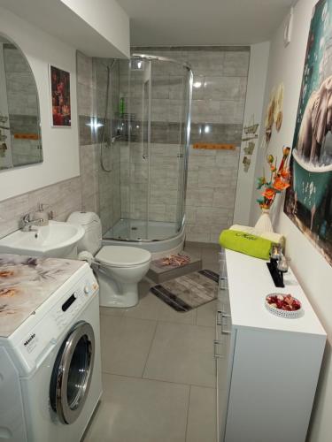 a bathroom with a washing machine and a toilet at Mieszkanie do wynajęcia w Centrum in Olecko