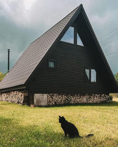a black cat sitting in the grass in front of a house at Căbănuțele de lângă râu in Păucineşti
