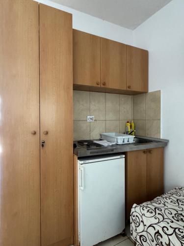 Köök või kööginurk majutusasutuses Apartmani Tošić