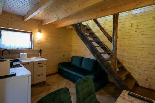 a living room with a green couch in a wooden room at Șura cu Bule- jacuzzi privat in Vişeu de Sus