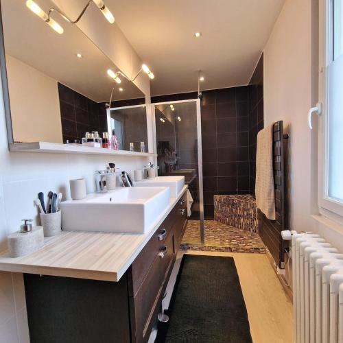 une salle de bain avec un lavabo et un grand miroir dans l'établissement Villa Rossa - Bord du lac - Version L, à Aix-les-Bains