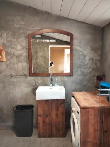 a bathroom with a sink and a mirror at Vogelvrij in Vierhuizen