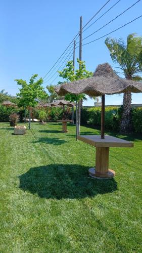 a table with umbrellas on a field of grass at Relais San Giovanni srls in Castellaneta