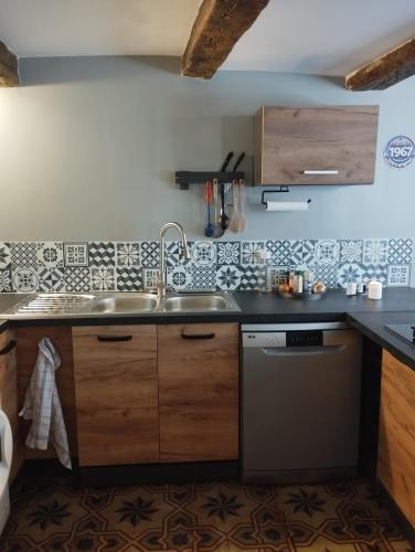 une cuisine avec un évier et un lave-vaisselle dans l'établissement Maison cévenole Alzon, à Alzon