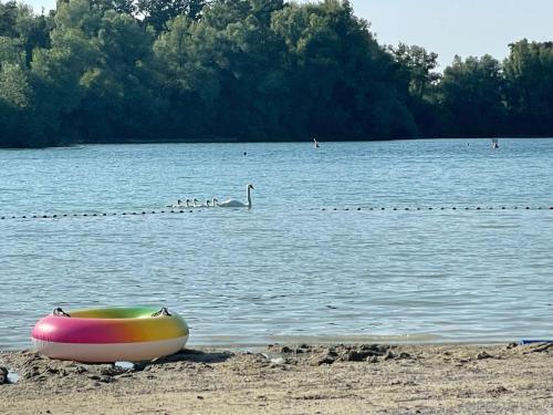 a colorful boat sitting on the shore of a lake at Schlossseeapartment in Salem