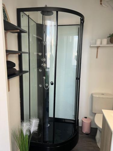 une douche avec une porte vitrée dans une salle de bain dans l'établissement Beautiful T1 Bordeaux apartment with balcony, à Talence