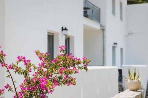 een bos roze bloemen op een wit gebouw bij Capital Suites Skopelos in Neo Klima