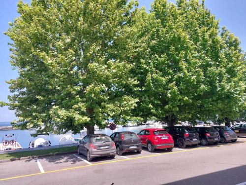 a row of cars parked in a parking lot next to a tree at A 50 passi dal lago - Affitti Brevi Italia in Capodimonte
