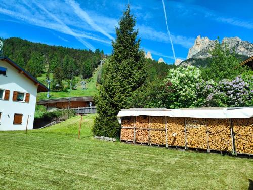 a tent on a lawn with a mountain in the background at appartamento PANORAMA in Pozza di Fassa
