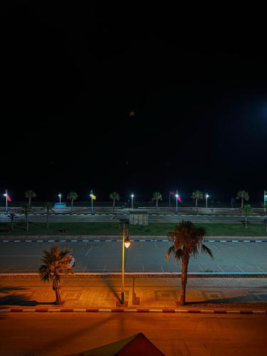 a street at night with palm trees and a street light at Visit Chamal - Zaphir in Oued Laou