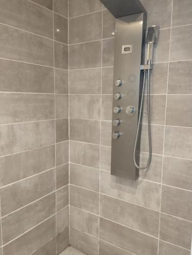 une salle de bain avec une douche avec pommeau de douche dans l'établissement Grande maison BREST, à Brest