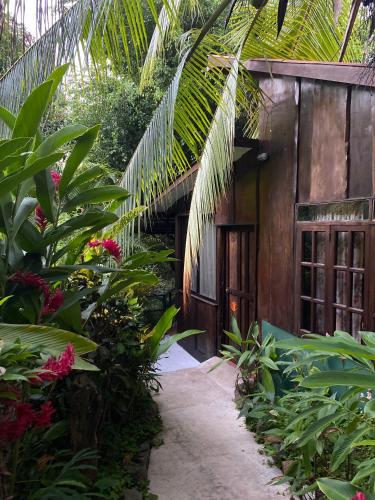 a pathway leading to a house with a bunch of plants at FLOR DE PARAISO BUNGALOWS in Montezuma