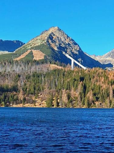 a mountain with a large body of water and trees at Chata Strbianka in Tatranska Strba