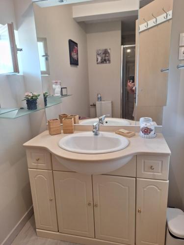 une salle de bain avec un lavabo et un miroir dans l'établissement Cottage au calme avec parking privé, à Lavoux