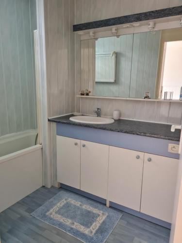 une salle de bain avec un lavabo et un miroir dans l'établissement Les Pélicans, au Tréport