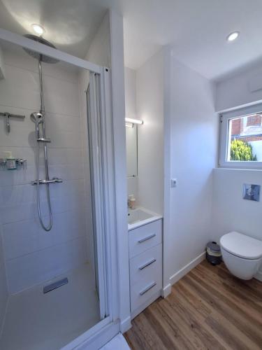 une salle de bain blanche avec douche et toilettes dans l'établissement Studio lumineux 2 pers Olivet Avenue Loiret, à Olivet