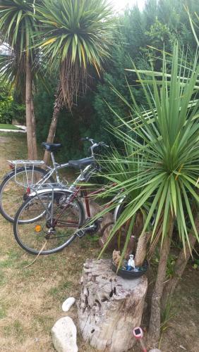 a bicycle is parked next to a tree at Studio Nature et Beauregard 30m2 en duplex proche lac, cures thermales et commerces in Saint-Paul-lès-Dax