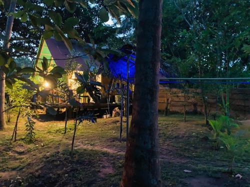 a tent with blue lights in a forest at night at Nature World Udawalawe in Udawalawe